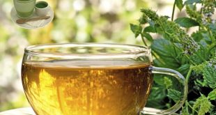 How to lose weight fast with thyme tea recipe?