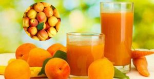 Apricot benefits for skin, pregnants, and overall health