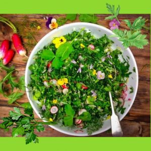 the parsley benefits for body health for adults and children