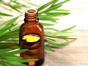 tea_tree_oil_healthy_life_for_all